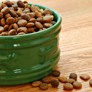 10 Black Friday 2024 dog food deals to check out