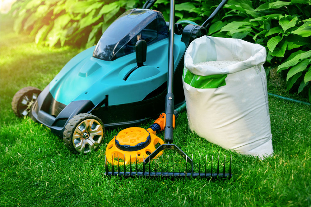10 easy lawn care tips for a lush yard